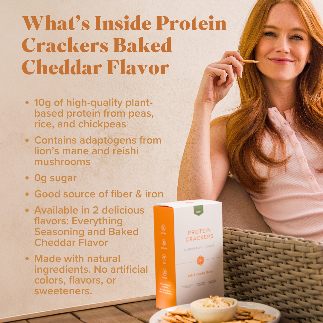 Protein Crackers Baked Cheddar Flavor — plant-based protein snack