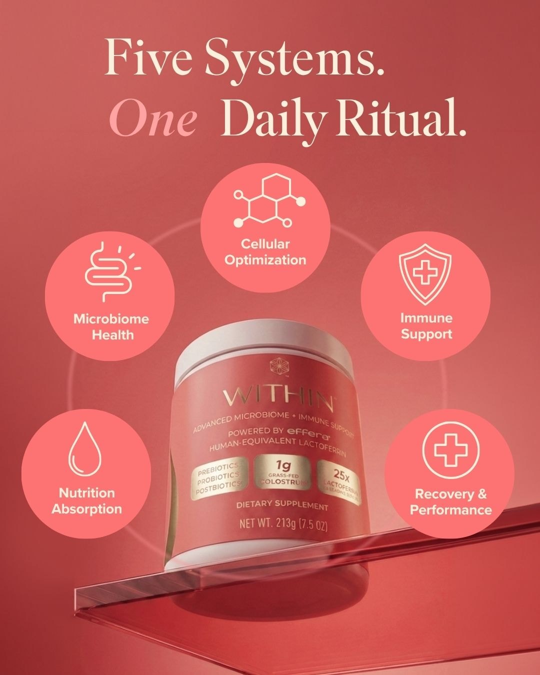 WITHIN — Five Systems. One Daily Ritual.